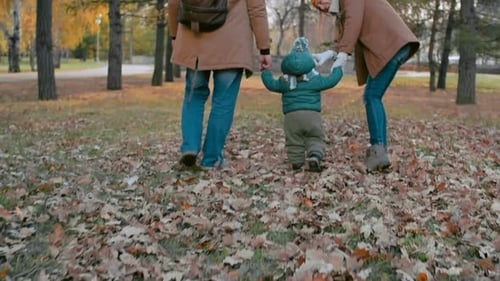Family Walk in the Park