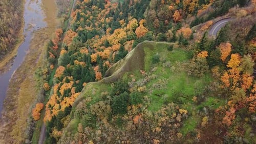 Aerial top down view of trees in forest changing leaf color color in autumn season.