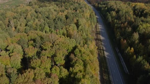 Asphalt road with traffic cars between forest in Ural
