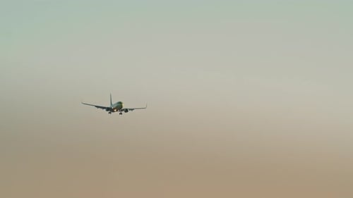 Boeing 737 is landing in the morning