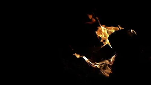 Burning Fire With a Black Background