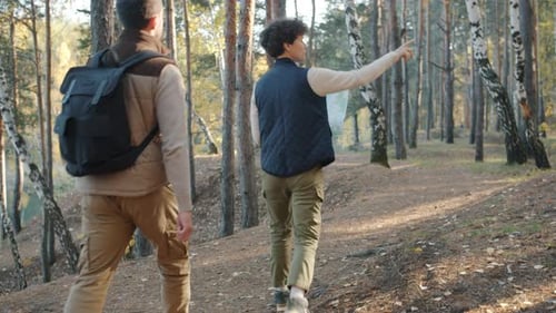 Back View of Happy Couple Walking in Forest Together Talking and Gesturing Enjoying Trip