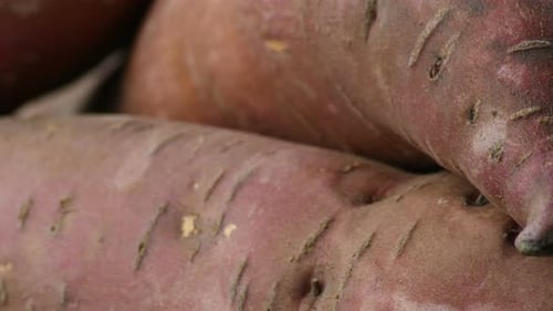 Sweet Potato in a Mountain