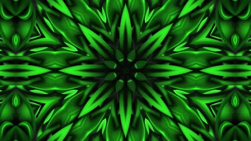 Floral Pattern Loop Background