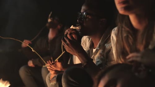 Friends Gather 'Round Campfire, Toasting Marshmallows at Night