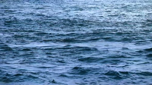 Meerwasser
