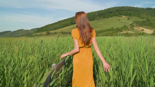 Woman in a long dress, walking in a reed field