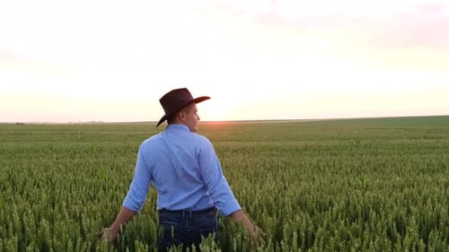 A Happy Farmer Walks Through a Field Under the Sun and Enjoys the Harvest