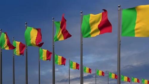 Multiple Mali Flags Waving in the Wind
