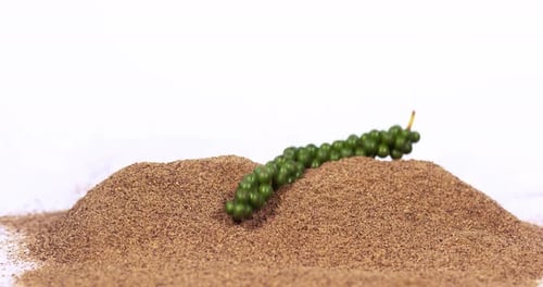 Fresh green pepper, piper nigrum, spice falling in pepper ground on white background, slow motion 4K