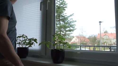 Man lowers blinds in home during daytime