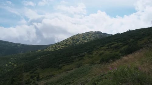 Landscape View of Green Hills in the Valley of Mountains with Coniferous Forests