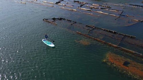 Aerial Shot