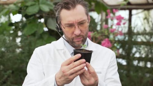 Scientist Examines Seedlings in Large Greenhouse