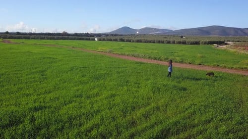 A Young Girl with dog Walking Along A Wheat Field