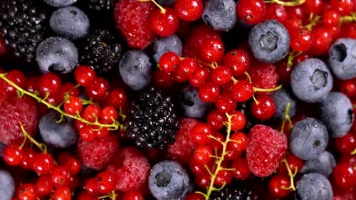 Close Up of Assorted Fresh, Juicy Berries
