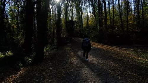 Man Wald
