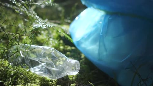 Picking Up Plastic Bottle Garbage in a Forest