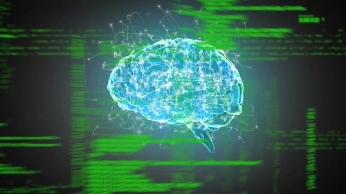 Digital brain and program codes