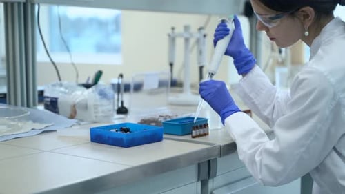 Lab Technician Works with Pipette in Bright Laboratory