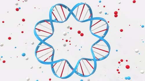 Kreisförmige DNA-Doppelhelix