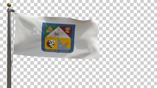 Sonora State Flag Waving on Transparent Background