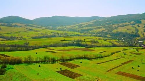 Aerial View on Rural Scene