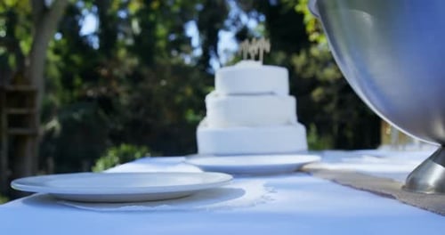 Elegant Wedding Cake Outdoors in Natural Setting
