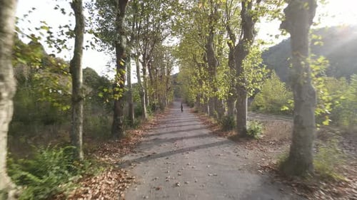 Herbst Park Sport Laufen Luftbild