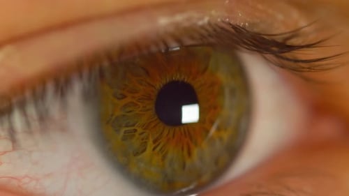 Macro View of a Human Eye Opening and Closing