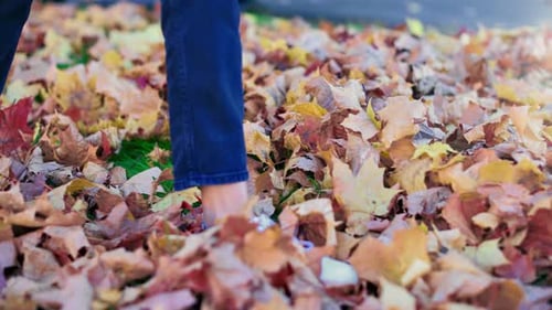 Person Walking Through Autumn Leaves in Park