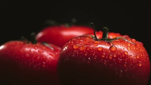Delicious Tomatoes