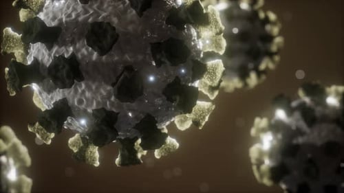 Coronavirus COVID-19 Medical Model