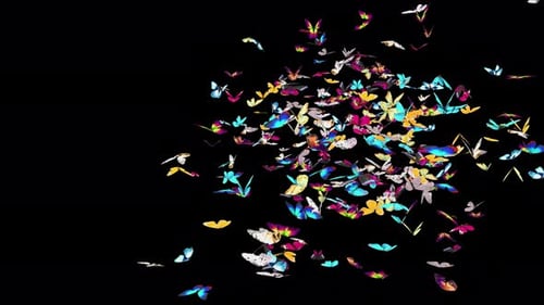 05 Schmetterling 4K