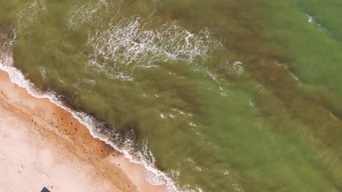 Aerial View of the Sandy Beach and Sea Waves