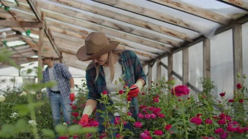 Woman Using Tablet in Rose-Filled Greenhouse