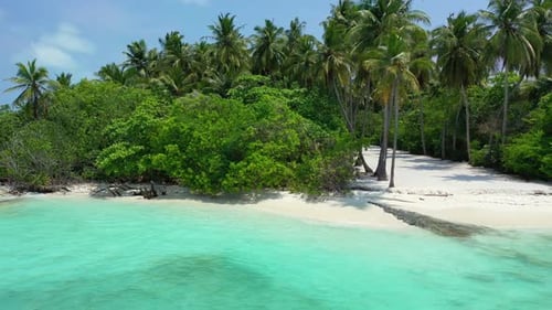 Aerial top view nature of paradise seashore beach wildlife by blue sea with white sand background of