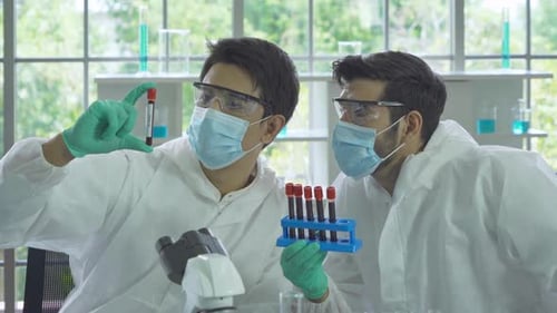 Scientists Analyzing Test Tubes in Bright Laboratory