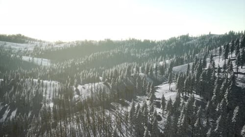 Mountain Landscape on a Winter Sunny Day