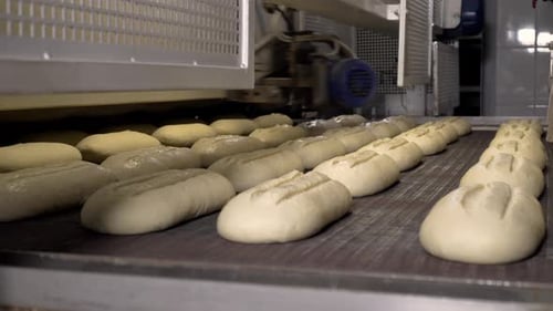 Making a Loaf of Bread in the Bakery. Loaf of Bread on the Production Line in the Baking Industry