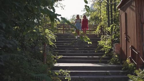 Two Attractive Beautiful Young Blond Women Walk on the Steps in the Park and are Happy on Sunset