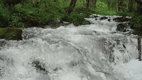 Landschaft mit Gebirgsfluss im Wald