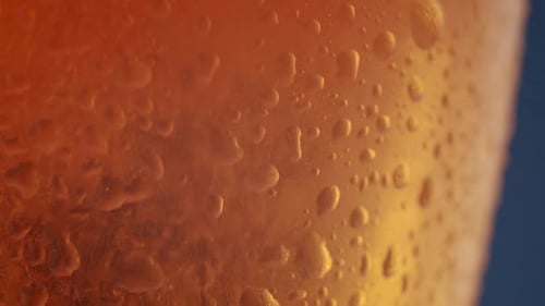 the Light Passes Behind the Glass of Beer Air Bubbles Can Be Seen in the Glass