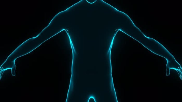 Futuristic Holographic Human Body Scan Animation Loop, Backgrounds ...