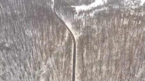 Winter scenery with road in the wood 4K aerial video