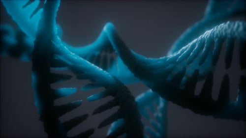 Loop Double Helical Structure of Dna Strand Closeup Animation