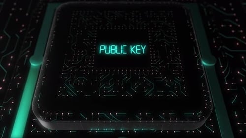 Digital Circuit Board Public Key