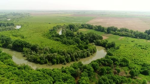 Calm River Flows Across the Plain Green Fields and Forest Aerial View