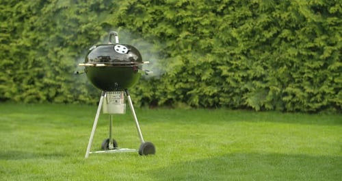 Grill on the Grass