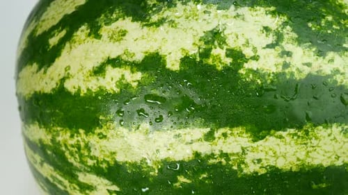 Fresh Green Striped Watermelon Close Up